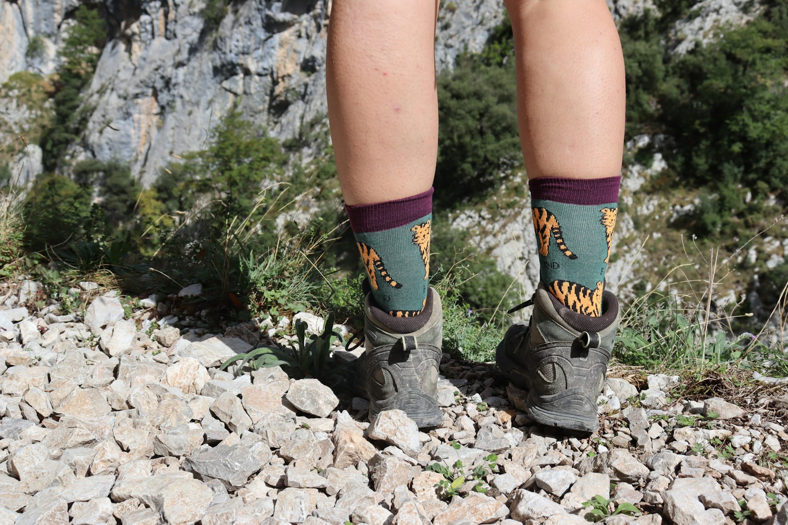 Best Hiking Boots for Multi-Day Treks